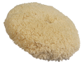 APP Wool - Vlnený leštiaci kotúč 180 mm